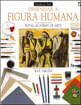 Desenhar a Figura Humana