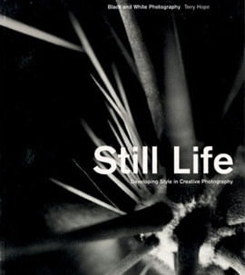 Still Life (Black And White Photography)