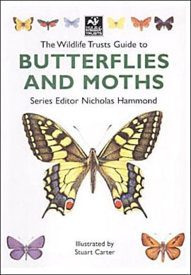 Butterflies And Moths - Wildlife Truts Guide