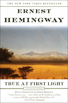 True At First Light - a Fictional Memoir