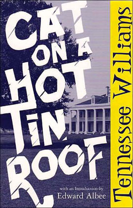 Cat On a Hot Tin Roof