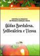 Controle Alternativo de Pragas e Doenças com as Caldas Bordalesa, Sufocalcica e ViçOsa
