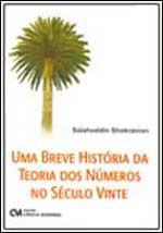 Breve Historia da Teoria dos Numeros no Seculo Vinte, uma