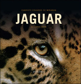 Jaguar - o Rei das Americas