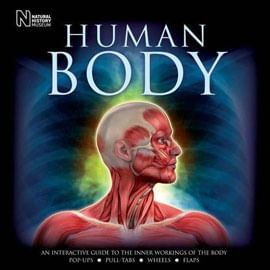 Human Body - An Interactive Guide To The Inner Workings Of The Body