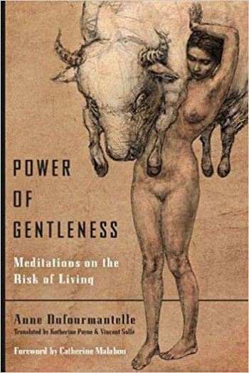 Power Of Gentleness - Meditations On The Risk Of Living