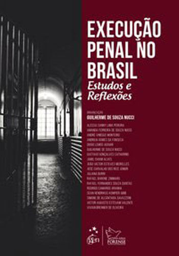 Execução Penal no Brasil - Estudos e ReflexõEs - 1ª Edição 2019