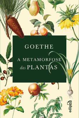 Goethe - a Metamorfose das Plantas