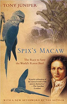 Spix'S Macaw - The Race To Save The World'S Rarest Bird