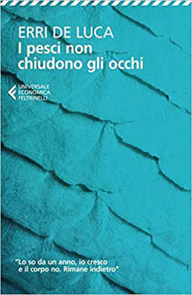 I Pesci Non Chiudono Gli Occhi