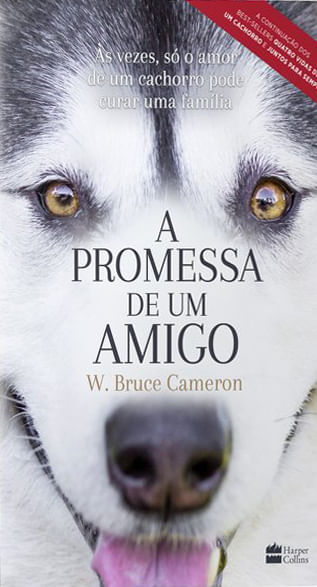 A Promessa de um Amigo