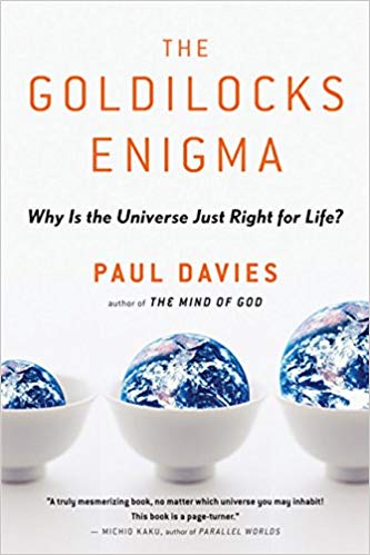 The Goldilocks Enigma - Why Is The Universe Just Right For Life?