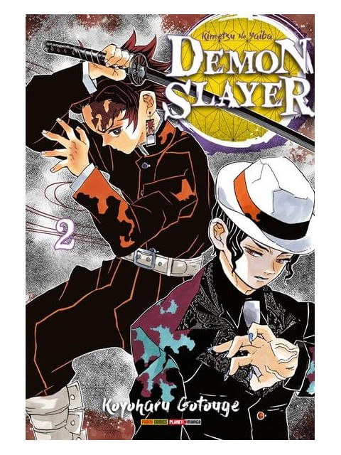 Demon Slayer - Kimetsu no Yaiba Vol. 2 - Vol. 2