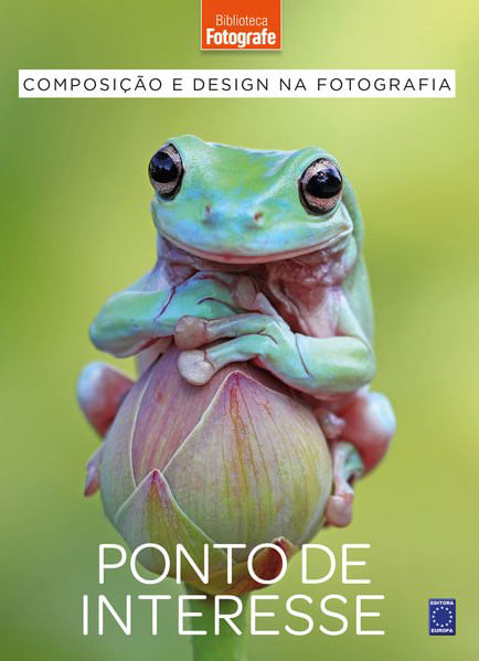 Composição e Design na Fotografia: 6 Ponto de Interesse