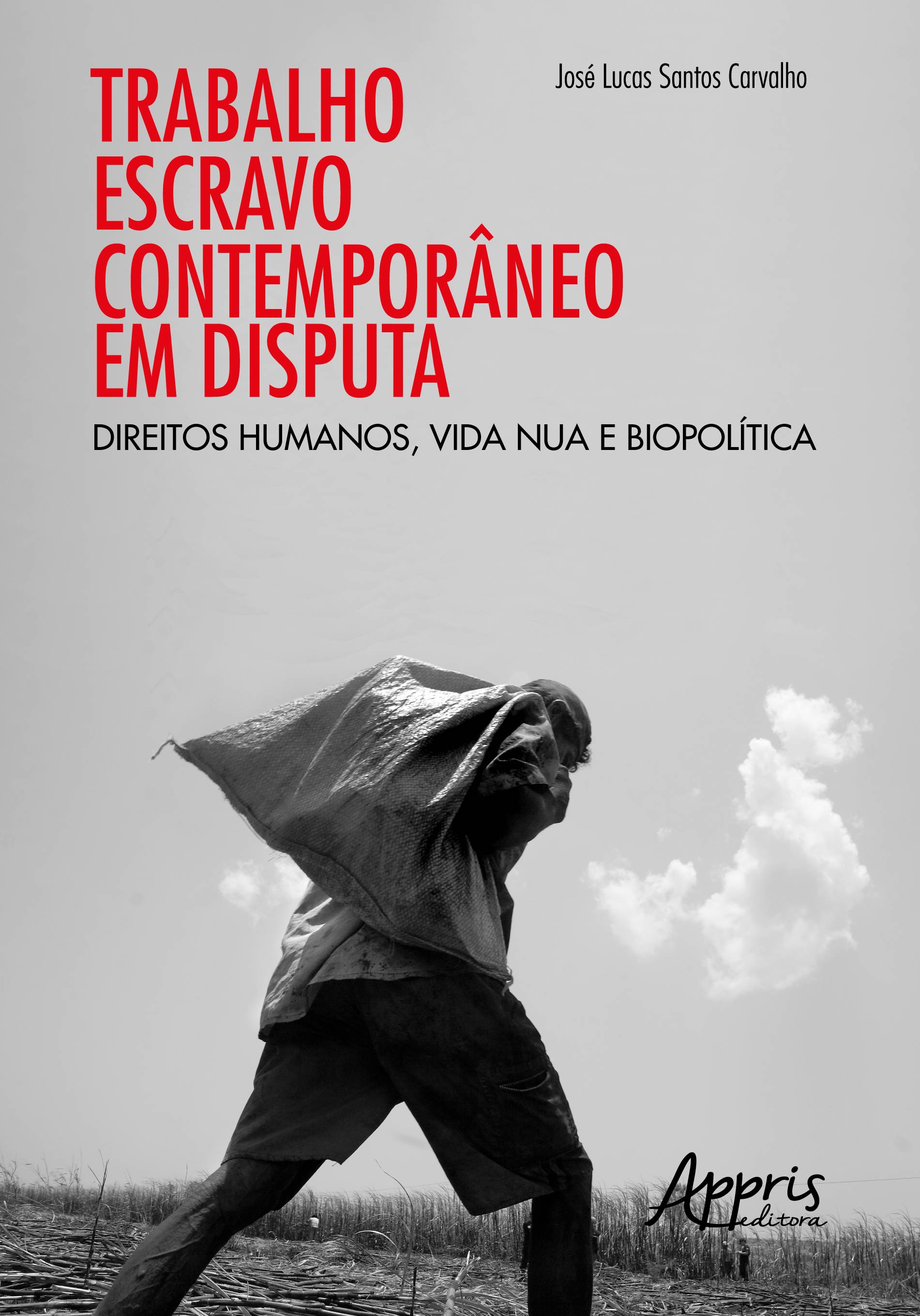 Trabalho Escravo ContemporâNeo em Disputa: Direitos Humanos, Vida Nua e BiopolíTica