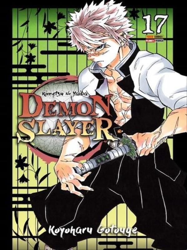 Demon Slayer - Kimetsu no Yaiba Vol. 17