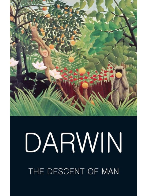 The Descent Of Man