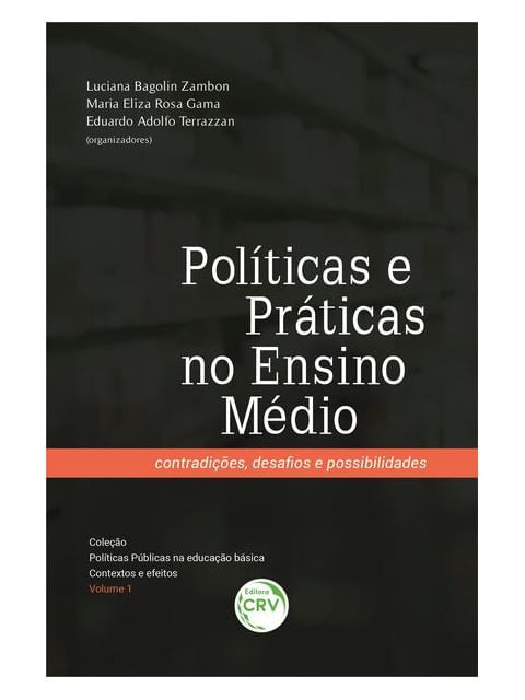 PolíTicas e PráTicas no Ensino MéDio - Volume 1