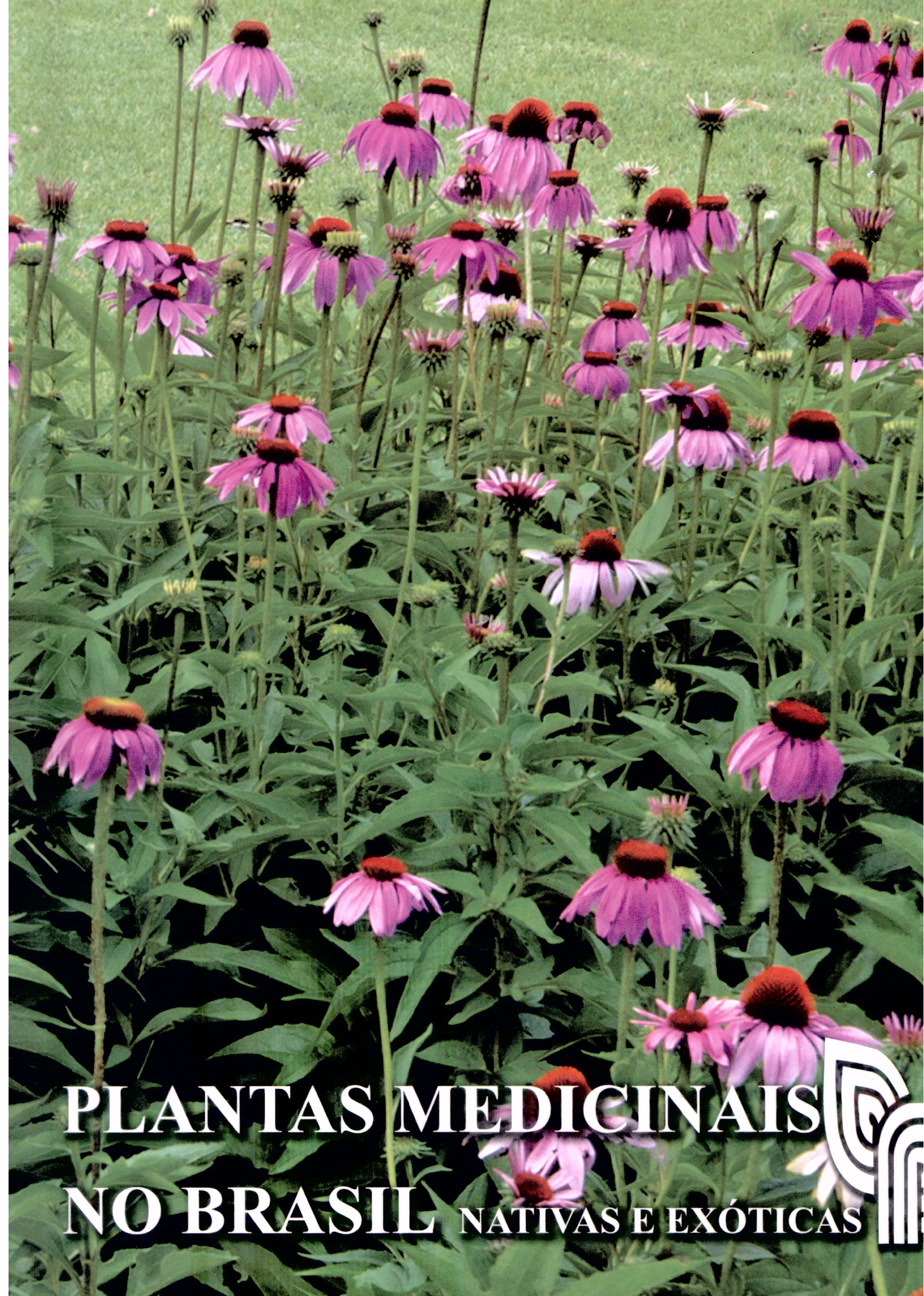 Plantas Medicinais no Brasil