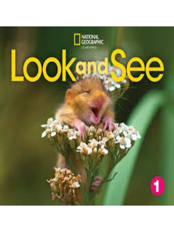 Look And See 1 - Big Book Anthology