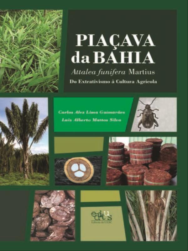 PiaçAva da Bahia (Attalea Funifera Martius)