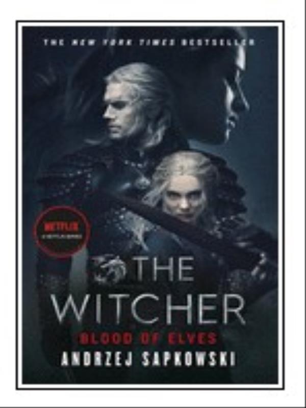 The Witcher - Blood Of Elves