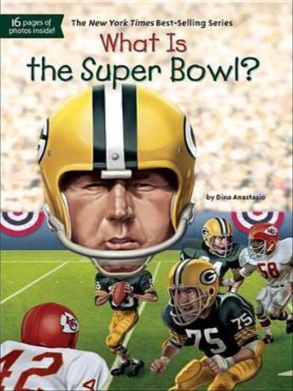 What Is The Super Bowl?
