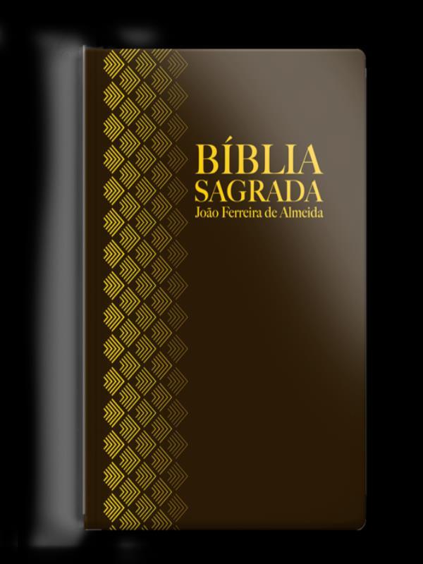 BíBlia Rc Letra Normal Semi Luxo Marrom