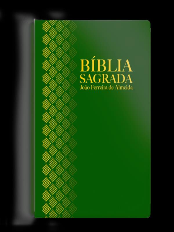 BíBlia Rc Letra Normal Semi Luxo Verde