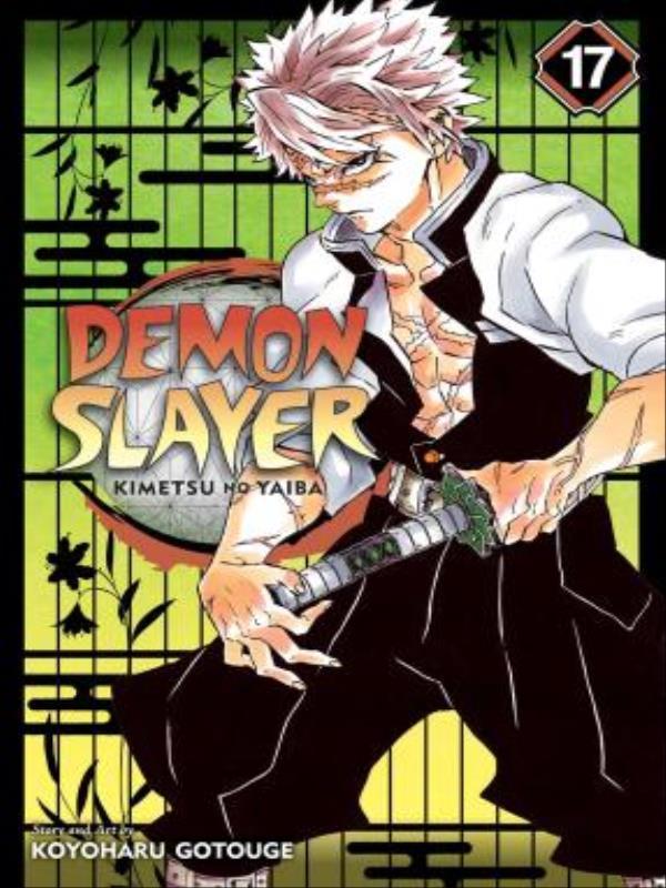 Demon Slayer - Kimetsu no Yaiba - Vol. 17