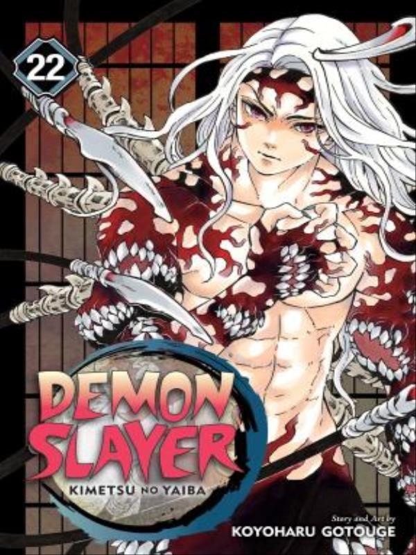 Demon Slayer - Kimetsu no Yaiba - Vol. 22