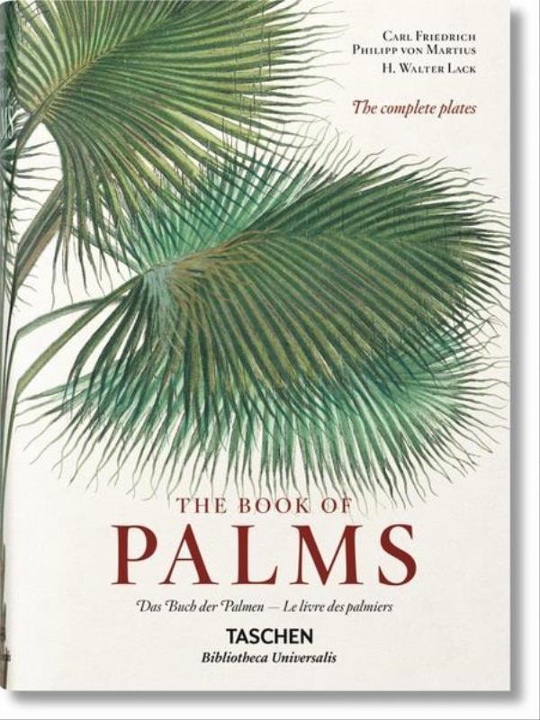 The Book Of Palms