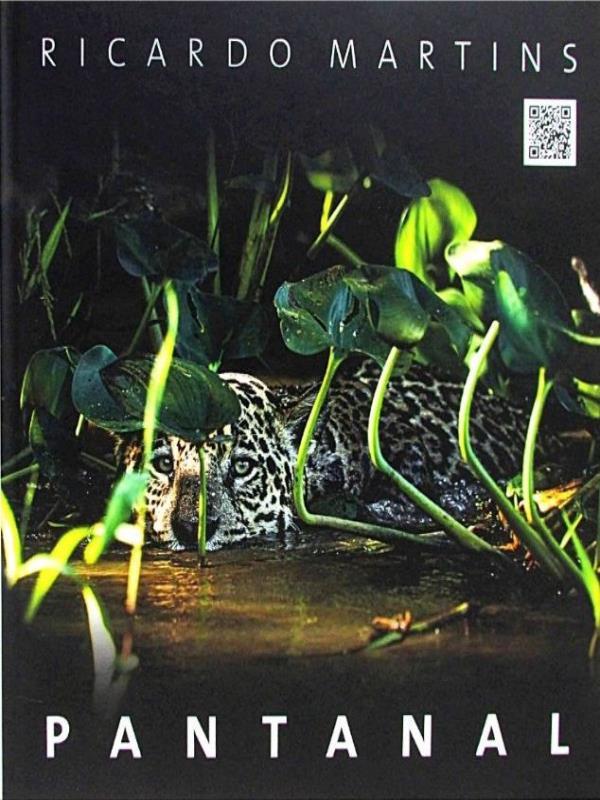 Pantanal, um PatrimôNio Natural e Sua Cultura