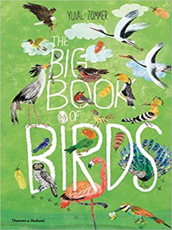 The Big Book Of Birds