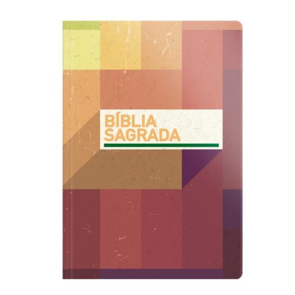 BíBlia Nvt Letra Grande - Brochura - Neutra