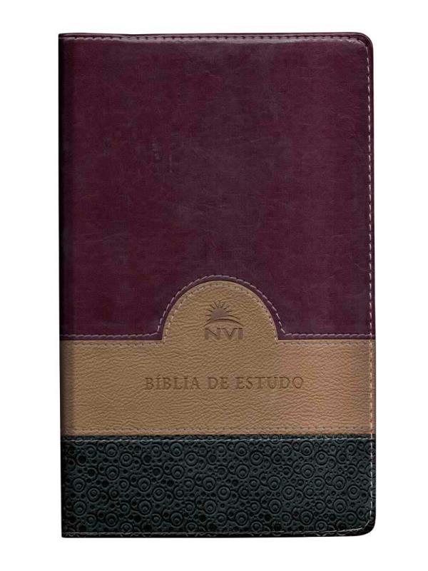 Capa do livro BíBlia de Estudo Nvi - Verde, Bege e Vinho - Capa Luxo