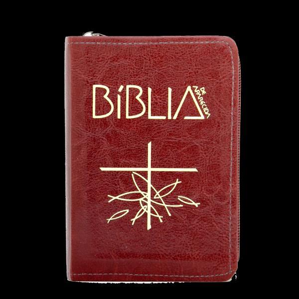 BíBlia de Aparecida Bolso ZíPer Marrom