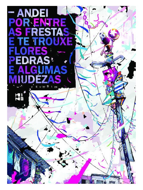 Andei por Entre as Frestas e Te Trouxe Flores, Pedras e Algumas Miudezas