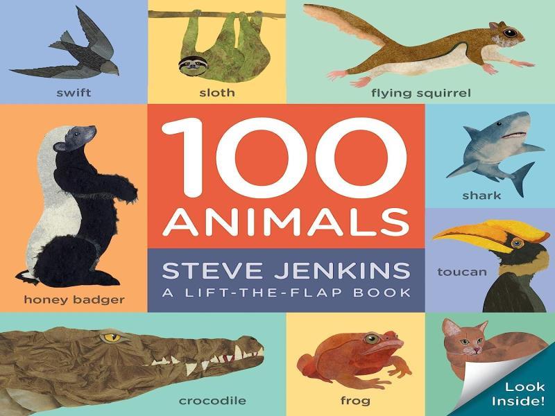 100 Animals Board Book - Lift-The-Flap