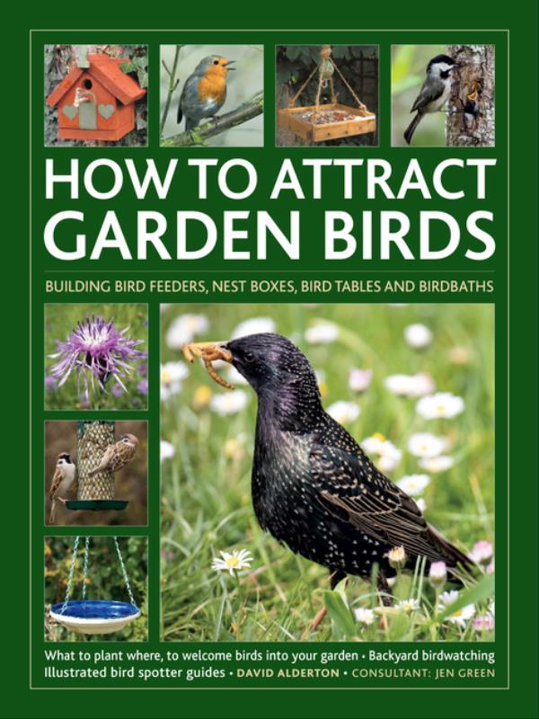 How To Attract Garden Birds
