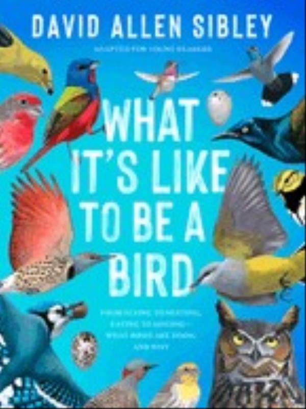 What It'S Like To Be a Bird (Adapted For Young Readers)