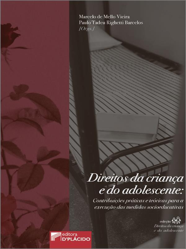 Direitos da Criança e do Adolescente:ContribuiçõEs PráTicas e TeóRicas para a Execução das Medidas S