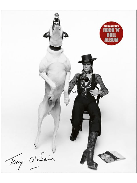 Terry o'Neill'S Rock 'N' Roll Album
