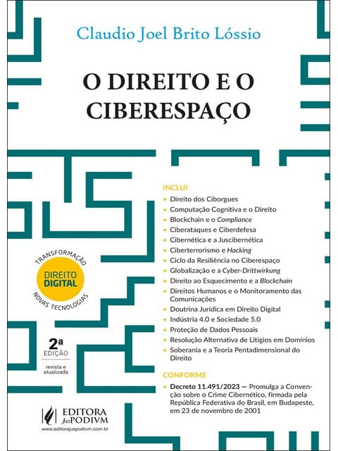 O Direito e o Ciberespaço - 2024