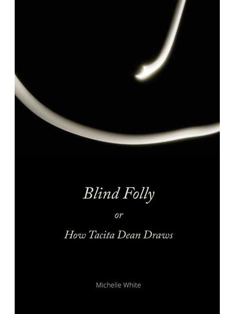 Blind Folly Or How Tacita Dean Draws