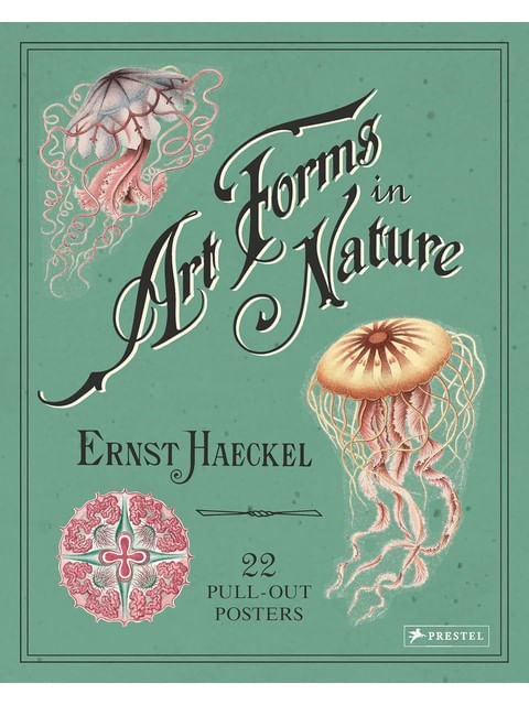 Art Forms In Nature
