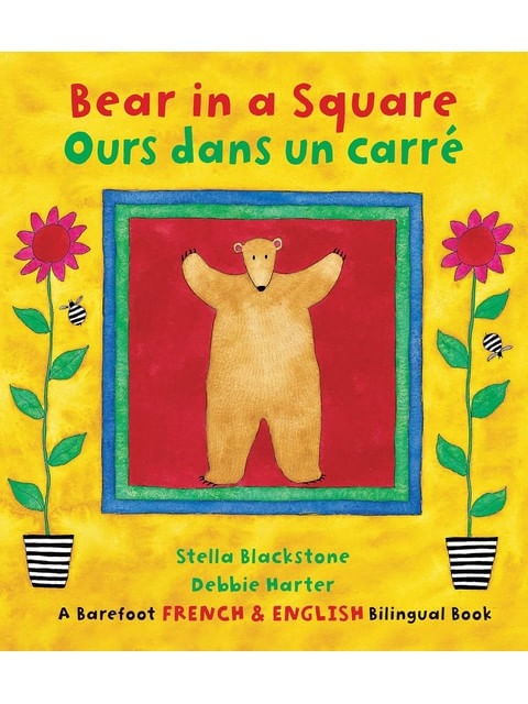 Bear In a Square - Ours Dans Un Carre