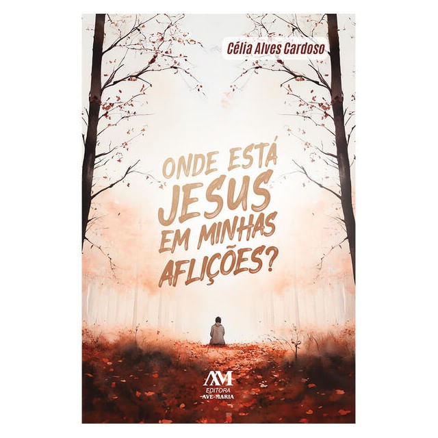 Onde Está Jesus em Minhas AfliçõEs?