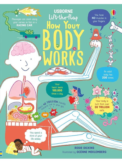 Lift-The-Flap How Your Body Works