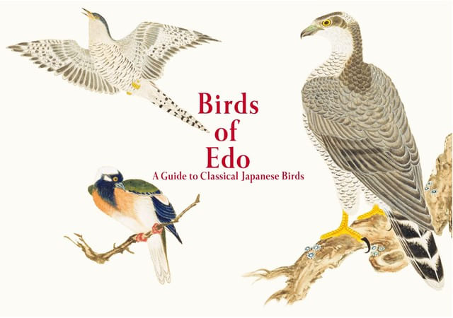 Birds Of Edo